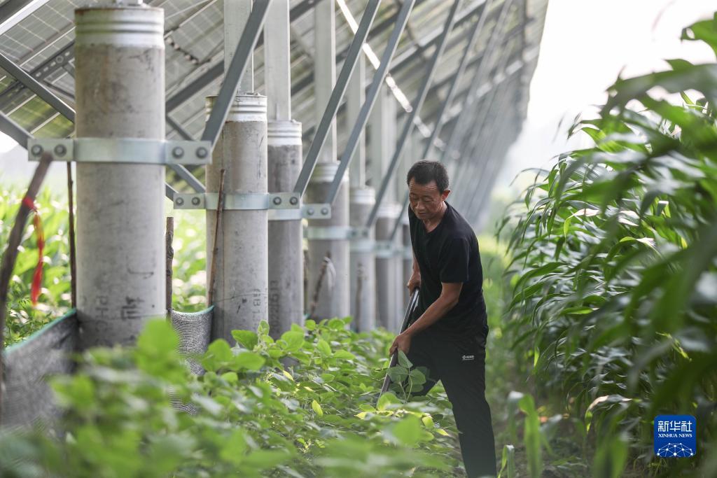 博乐棋牌网站